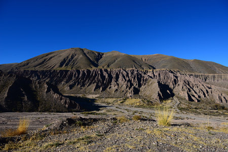 Salta province surrounds Jujuy