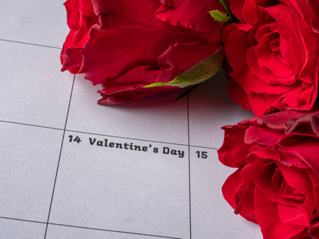 Red roses on valentine calendarの写真素材