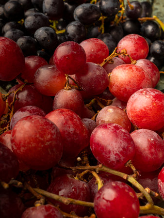 Close-up photo of a large bunch of fresh ripe organic red and black grapesの写真素材