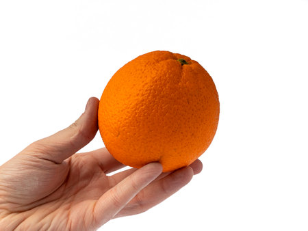 Orange isolated on white background Fresh juice and fruit conceptの写真素材