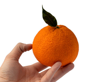 Orange isolated on white background Fresh juice and fruit conceptの写真素材