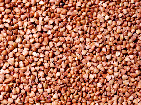 Uncooked Buckwheat, cooking concept, backgroundの写真素材