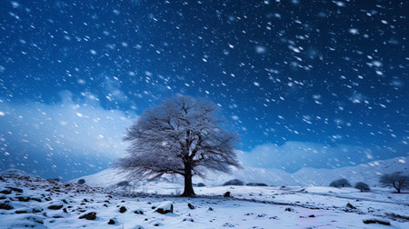 Abstractions in the form of stars and snowfall.の素材