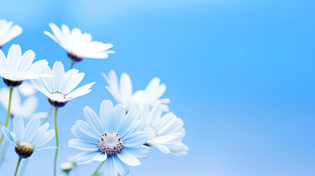 Blue background, giving the image lightness and freshness.の素材