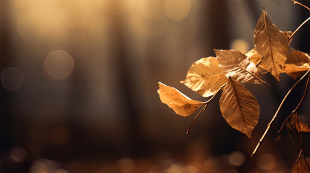 The image in brown tones, creating an atmosphere of warmth and naturalness.の素材