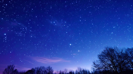 Starry sky above the head in the evening on Valentine's Day.の素材