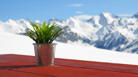 flower shades a table in the cottage of La Glera in the restaurant of formigal ski resort
