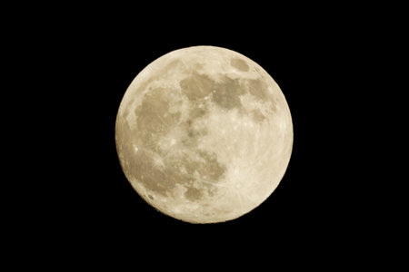Full moon on the black background. close-up