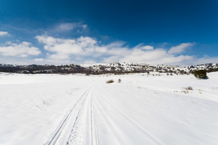 Winter landscape with fur-trees and fresh snow. Crimea. Ai-Petri. Russiaの写真素材