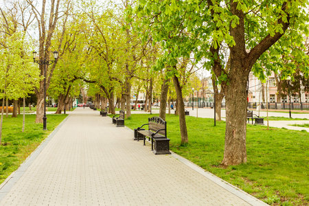 Park bench spring urban landscape recreation in cityの写真素材
