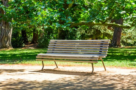Bench in the parkの写真素材