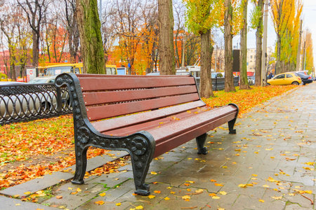 Bench in the beautiful autumn park after rain