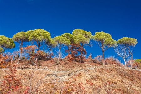 Beautiful Crimean landscape in the autumn. Crimea. Russiaの写真素材