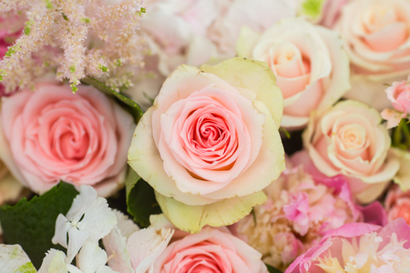 Abstract background of beautiful flowers.の写真素材