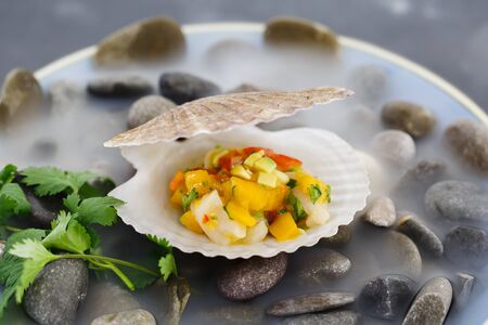 Scallop tartare with mango and cherry tomatoes, served in a plate on stones with dry ice.の写真素材