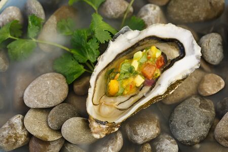 Oyster with ceviche served on stones with dry ice.の写真素材