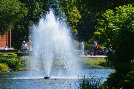 nature, parkland, park