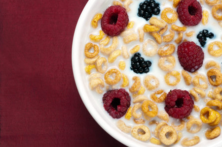 A bowl of cereals with fresh blackberries and raspberries with milk in a red background.