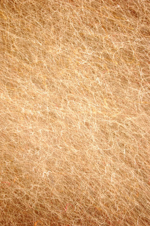 A background of sharp illuminated lines creating a texture.