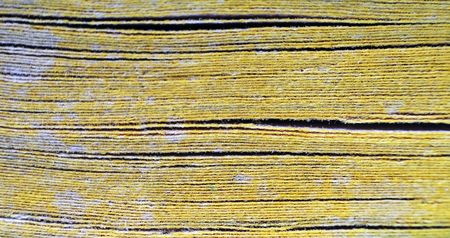 A close up of yellow aged old pages on an ancient book novel. They are yellow.の写真素材