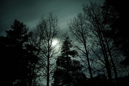 Silhouette of trees against the bright moon light of the night with motion blurred clouds passing by in front of it.の写真素材