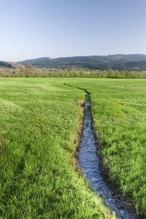 A narrow water river stream going through a green grass field landscape.の写真素材