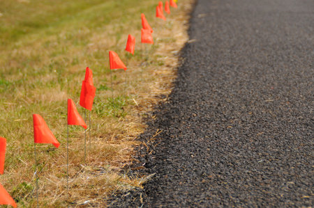 A bunch of racing flags stuck in the ground