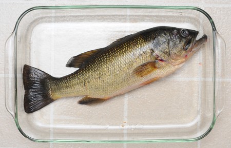 A raw largemouth bass fish inside of a glass dish ready for a meal.の写真素材