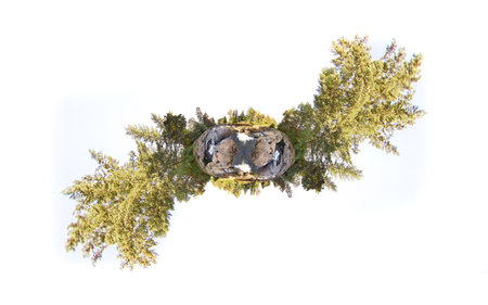 A little tiny planet of an earhtly rocky river with trees and sky with trees sticking out to make a...