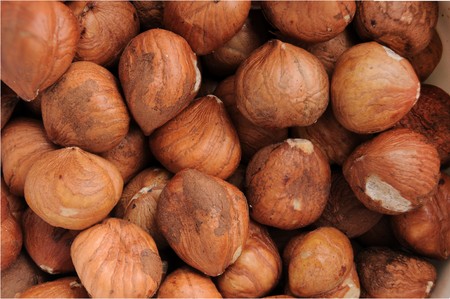 Macro closeup of a pile of raw hazelnuts. These are also called chestnuts and filberts.の写真素材