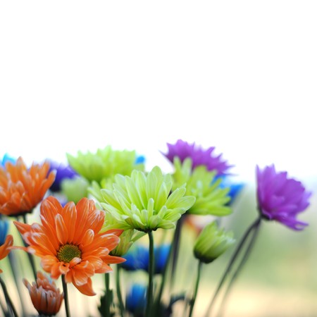A bunch of multicolored daisy flowers standing up inside a vase. This image makes a good background.の写真素材