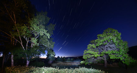 A lot of shooting stars in the sky with lovely green landscape.