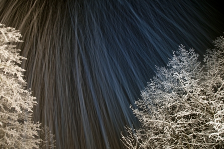 Winter trees covered in ice and snow with long camera exposure while snowingの写真素材