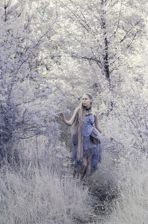 Colorized Full Length Portrait of Young Woman Wearing Purple Gown Walking on Forest Path and Exploring Wooded Environment - Fairy Tale Qualityの写真素材