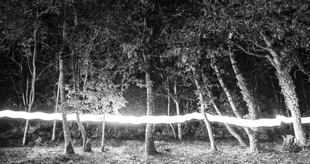 Forest with lightpaintingの写真素材