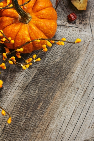 Fall Pumpkin Background Thanksgiving and harvest themeの写真素材