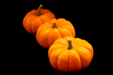 Fall Pumpkin Background Thanksgiving and harvest themeの写真素材