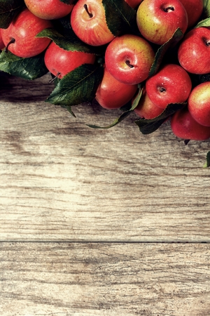 Fall background with apples on wooden background / Autumn background , selective focusの写真素材