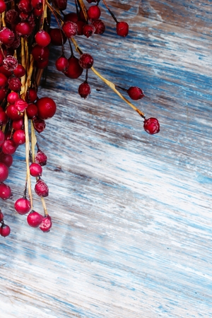 Red Berries on blue wooden background with copy space / Christmas background, selective focusの写真素材