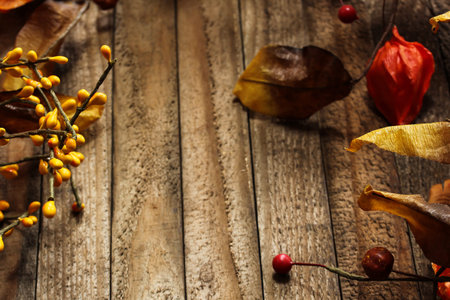 Fall Autumn background