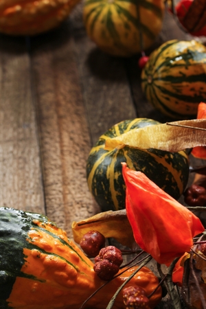 Fall Autumn backgroundの写真素材