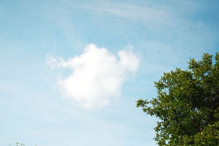 White Cloud and green treeの写真素材