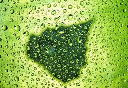 Many little water drops on the glassの写真素材