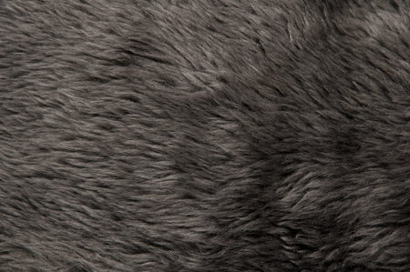A beautiful fluffy Gray artificial fur (texture)