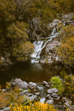 Levada das 25 Fontes and Risco waterfall, Madeira