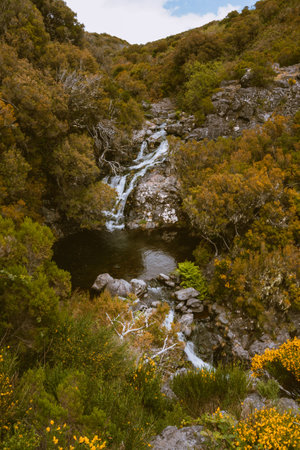 Levada das 25 Fontes and Risco waterfall, Madeiraの写真素材