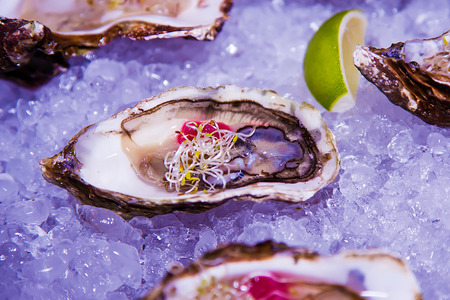 Oysters, seafood on the night partyの写真素材