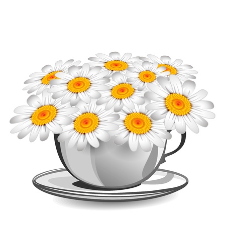 Herbal chamomile in a white cupのイラスト素材