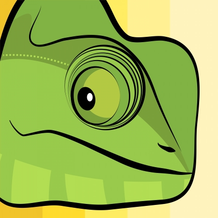 Chameleon illustrationのイラスト素材