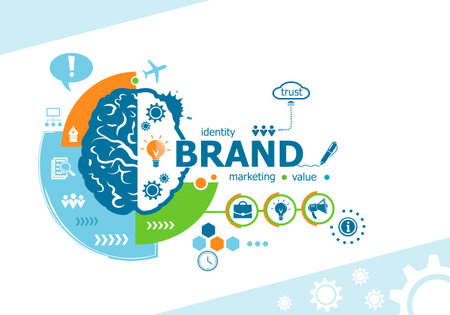 Branding related words and brain concept. Infographic business. Project for web banner and creative process.のイラスト素材